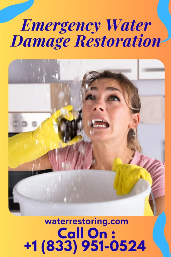 Emergency Water Damage Restoration in Dillard, GA